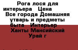 Рога лося для интерьера › Цена ­ 3 300 - Все города Домашняя утварь и предметы быта » Интерьер   . Ханты-Мансийский,Урай г.